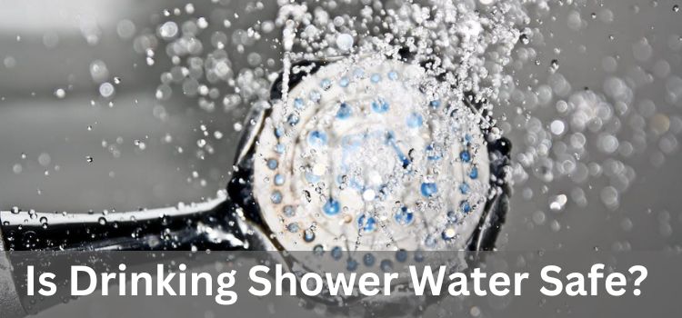 Is Drinking Shower Water Safe Exploring the Myths and Realities