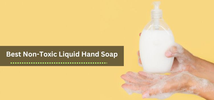 Best Non-Toxic Liquid Hand Soap Your companion to safe-deposit box and Clean Hands