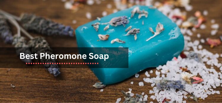 Best Pheromone Soap: Enhancing Your Daily Routine